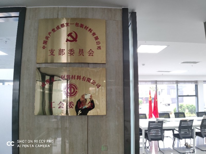 热烈祝贺4008云顶集团集团成都分公司党支部在2020年3月11日授牌成立，支部书记曹云(行政部经理)